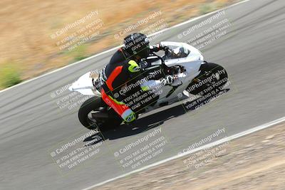 media/Jun-25-2023-2WTD (Sun) [[bf8bb0cd0b]]/B Group/session 4 turn 9/